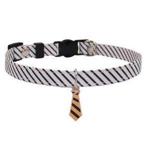 WDPAWSybg֔L֗ȂZ[teBobNCMXZ[teBobNS꒴yʒ߉\(XS)