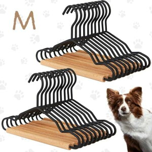 EdergooybgnK[~jߗnK[ό`ĂȂnK[yʌLApxr[nK[~ߑϋvfBXvC[^LybgVbvpi20c