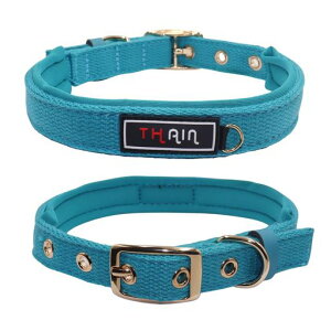 THAINփx[VbN5߉\ꂩ킢̎ւʂтobN^p(u[M)