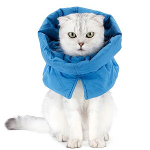 [VNGOLERRY]GUxXJ[LLp^\tgyʉKK[hTCY\_炩hp畆aی쏝rߖh~~h~Dpp(fB[vu[)