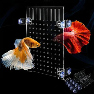 BaraRoseZp[^[d؂pu@\甠Xvb^[̍{Bpm̌܂hx^^NANZT[ANzՕt₷̃ANc