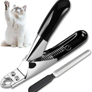 ybgpܐ؂L^lCPAM`^CvXeXubN܂₷tyʃRpNgLg}[SҌ