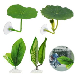 |N~x^xbh[t4ZbgwlHzՕtx^̗̋tx^̎Ytx^pxe[tANZT[ANAEϏ܋/Mы/BƐٓYɐBp