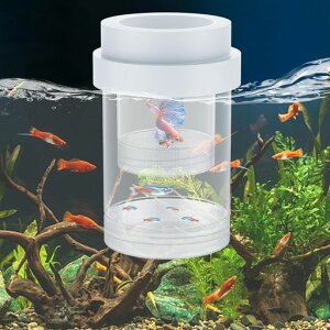 HitasiuP[XYP[XVɐB{bNX{bNX_Julbg@\كANZT[tیg₷YzuȂǂɓK(zCgS)