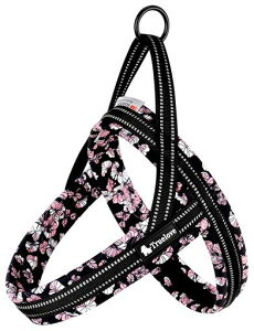 cocomall2025ŐVAɗDn[lXTRUELOVE{Xpn[lXpփhbOybgpi3MˍޗPlIvfޏ^A^A^ɌʋC߉\ĂɑΉ(ubc