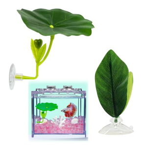 JetWavex^xbh[t2ZbgzՕtx^pxe[tYpnbNlHPVCSRČfUCMыϏ܋pBƐpANZT[ANAE