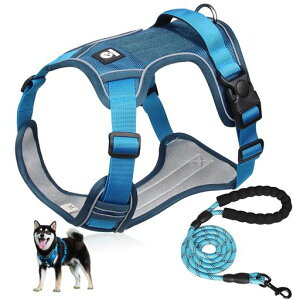 yČɋ͐EzXINIDEAőϋv