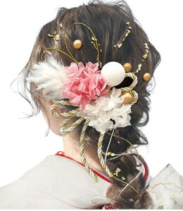 [JZOON]Ǝ10FW?lƎhCt[ݑJX~\EgRlC[vwAANZT[OBUaђ߂ɃuC_wbhp[cS[hc