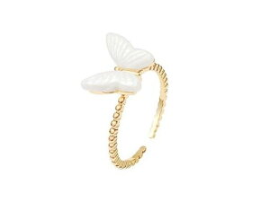 uWatsuLifevwփOt[TCYfB[XANZT[S[fzFVvfUCOlCIVETMr[YԃOփv[go^tC\(c