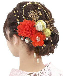 Baramolyl葲ƎU܎OS[haʂݑуp[w{[킢hCt[Zbgparty߃fB[XqOBac