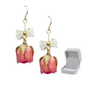 NobuwilesAXfB[XCOAM[ΉhCt[lCVvhlCOVo[ỏԓVRo^Cf[