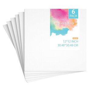 LoXLoX{[h304x304mm6/Zbg{[hLoXLoXG{[hANG̋GG撆ږʁEANp`z