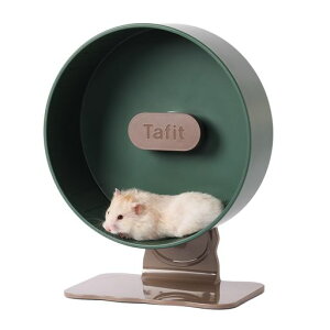 TafitnX^[񂵎ԃn[j[zC[É׃AO\߉\NAJ[nX^[EW[rEp(26cm)