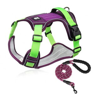 yČɋ͐EzXINIDEAőϋv