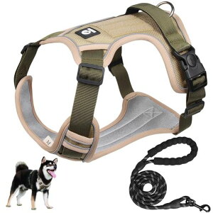 yČɋ͐EzXINIDEAőϋv