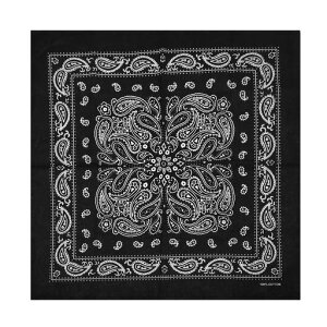 [kakatrend]o_iyCY[OpБl100%nJ`΂񂾂ȃRbgYjZbNX唻55cmx55cmubN