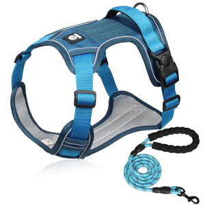 yČɋ͐EzXINIDEAőϋv