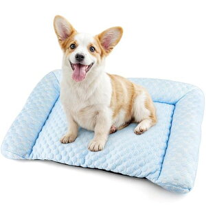 DopetLpybgxbhybg}bg-xbh}bgybgpxbhybg\t@[N[VN|vsȒʔNėp⊴ʋCѕth~ې􂢉\ϊݔL^xbhxbhuc