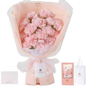 FiorifiorelC\[vt[̓ԑv[gMtg̓aԃo16{jސEʃCeA(Carnation)