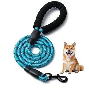 TJT[h₷X|W菬^^^p[hPLkyʏvԔ(u[)