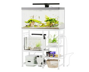 DEWEL䕝79xs35x75cm䃉bNIX^hI10iK\tbN/RZgtʎHω׏d215kgAWX^[t