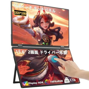 fAoCj^[15.6C`oCj^[^b`pltHD(1920x1080)𑜓x㉺2ʊg܂肽ݎfAfBXvCVESAΉ100%sRGBXs[J[X^ht
