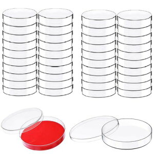 siawadekyV[ygM90mmWt40ZbgĝăNA|{MזE|{pAώ@ppvX`bNe