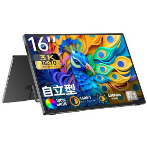 CASKING���o�C�����j�^�[3K16�C���`AG�����IPS�p�l��3072x1920�A�X�y�N�g��16:10���o�C���f�B�X�v���C100%sRGB�L�F��400nits���P�x���^�����^VESA�Ή��|�[�^�u�����j�^�[USB