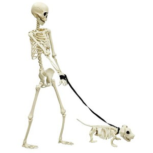 MARUNDAnEB[165cmg+2_Zbgƒpu݂艺BepnEBAz[f