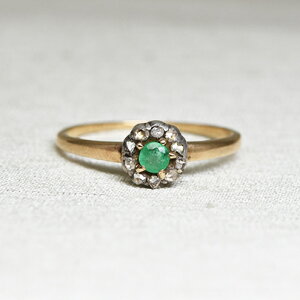 AeB[N WG[ O w S[h Gh _ChO 14 i