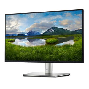 Dell 22 ���j�^�[ - P2225H