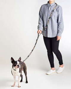 yeBI (Petio) Ethical Door GVJhA ʃV_[[h ubN 