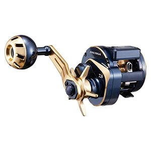 �_�C��(DAIWA) 21 �\���e�B�KIC 100