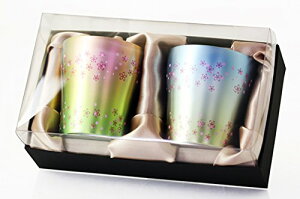 HORIE(zG) VY `^d^u[ ؃`^ 250cc isN^u[j2Zbg T-15-OB250PB