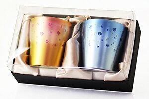 HORIE(zG) VY `^d^u[ ؃`^ 250cc KNisN^u[j2Zbg T-15-BR250BP