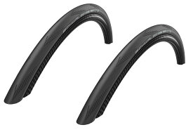 2本セット SCHWALBE ONE 20×1.10(28-406) フォールディングタイヤ ADDIX シュワルベワン [並行輸入品]