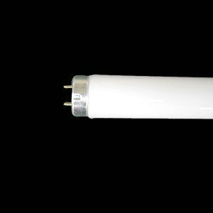 pi\jbN ǌu 40W` F sbhX^[g` ʓd햌 [10{Zbg] FLR40ESED/M-X-10SET