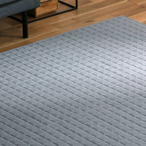 ACXI[} ߐn̐[݂LgO 185185cm O[ Ő\ LeBOHȂ̂ł|NN ܂݉\ŎgȂ͏ȃXy[XŎ[ Sĉ߂