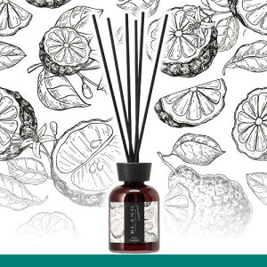 J[Cg(CARMATE) BLANG uO p [hfBt[U[ F VR Lܔz zCgxKbg̍ DH563