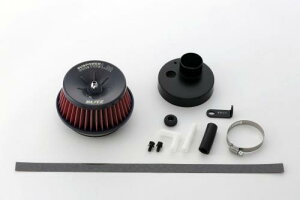 BLITZ(ubc) SUS POWER CORE TYPE LM RED(TXp[RA^CvLM RED)DA17W DA17V GuBS GuBo 59238