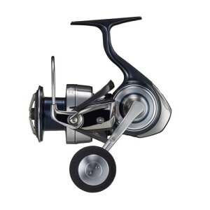 _C(DAIWA) XsjO[ Ze[g SW 5000-H
