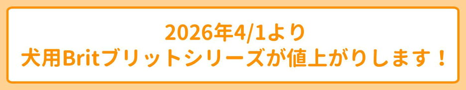 big-banner08