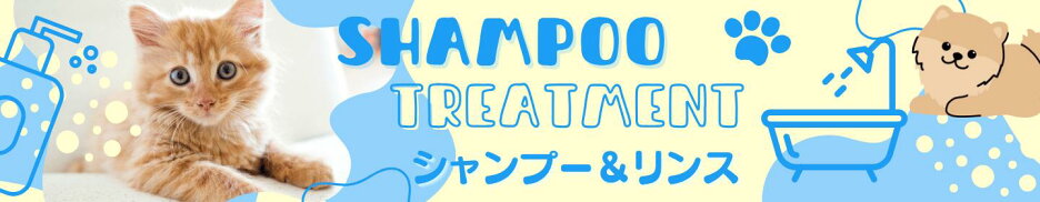 big-banner04