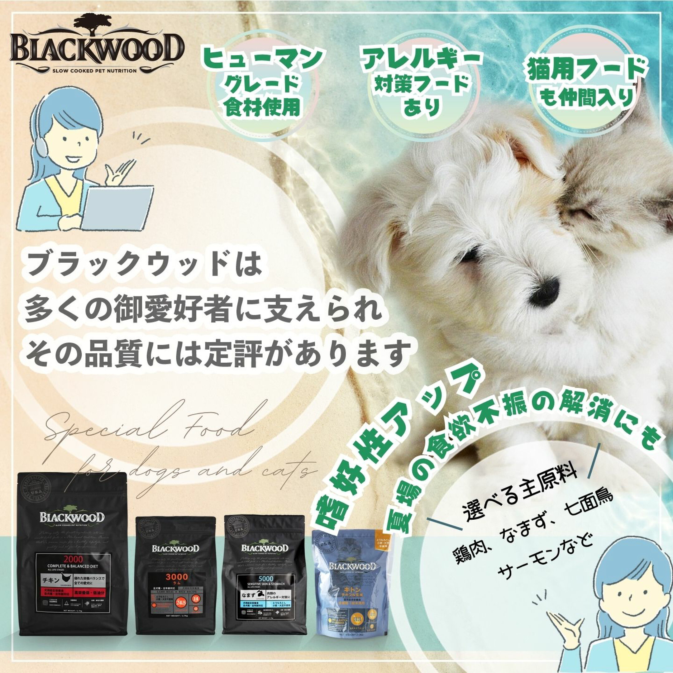 ブラックウッドブランド紹介リンク画像