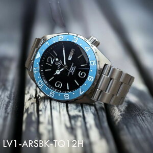 { nhCh̘rv 20Ch u[ARR[eBO Tt@CA_uh[h @B/ SEIKO TMI NH36 [ug 316LXeX ~iXC1~ _Co[YEHb