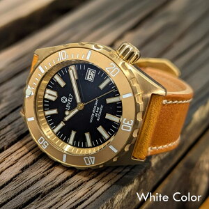 LV1-BRASSzy2NDFBK-2GD-2PWzyG002/_uh[hz yX[v^x[z { nhCh oN򉻂yޖCA^J/uX̘rv 20Ch @B/ SEIKO NH36 [u