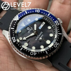 { nhCh̘rv 10Ch ubNp[ u[ARR[eBO Tt@CA_uh[h @B/ SEIKO NH36 [ug 316LXeX ~iXC1~