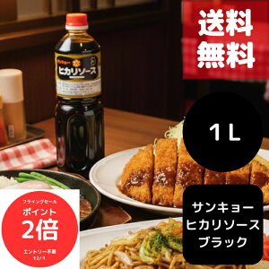 iSi|Cg2{@tCOZ[jTL[qJ qJ\[X ubN EX^[\[X 1L e Ɩpɂ߂̖\BXpCV[Ő[݂̂閡킢ŁA