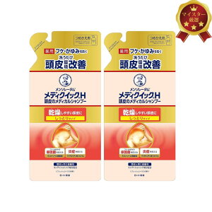 (|Cgő41{IyVC[OXӍՁIj[g fBNCbNH ̃fBJVv[ Ƃ^Cv lߑւp e280mL×2 pVv[ 򕔊Oi tP  