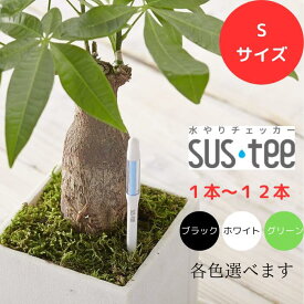 送料無料 サスティー SUStee 水やりチェッカー S ホワイト 白 グリーン 緑 ブラック 黒 水やり 観葉植物 管理 簡単 適切なタイミング 枯らさない 正しい水やり 色で分かる S 2号 2.5号 3号 鉢 直径6~9cm 浅い鉢 盆鉢 土 ハイドロカルチャー SUSTEE 日用品付き